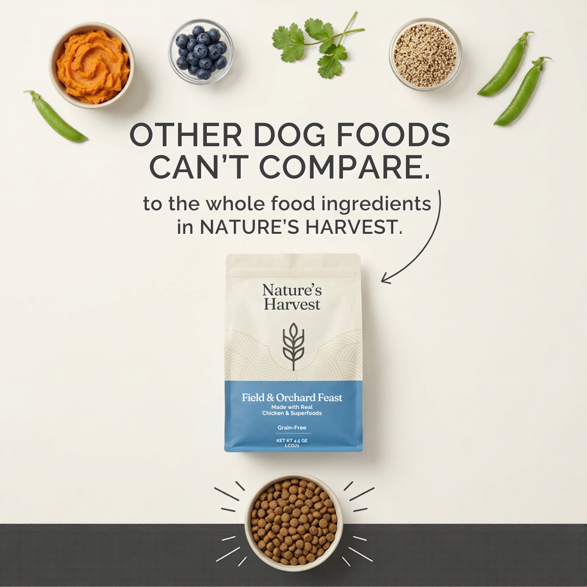 Nature's Harvest grain-free dog food bag surrounded by sweet potato, blueberries, quinoa and peas above a bowl of kibble