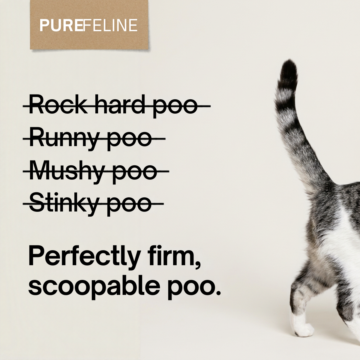 Tabby cat walking out of frame beside a crossed-out list of poo problems and the line perfectly firm, scoopable poo