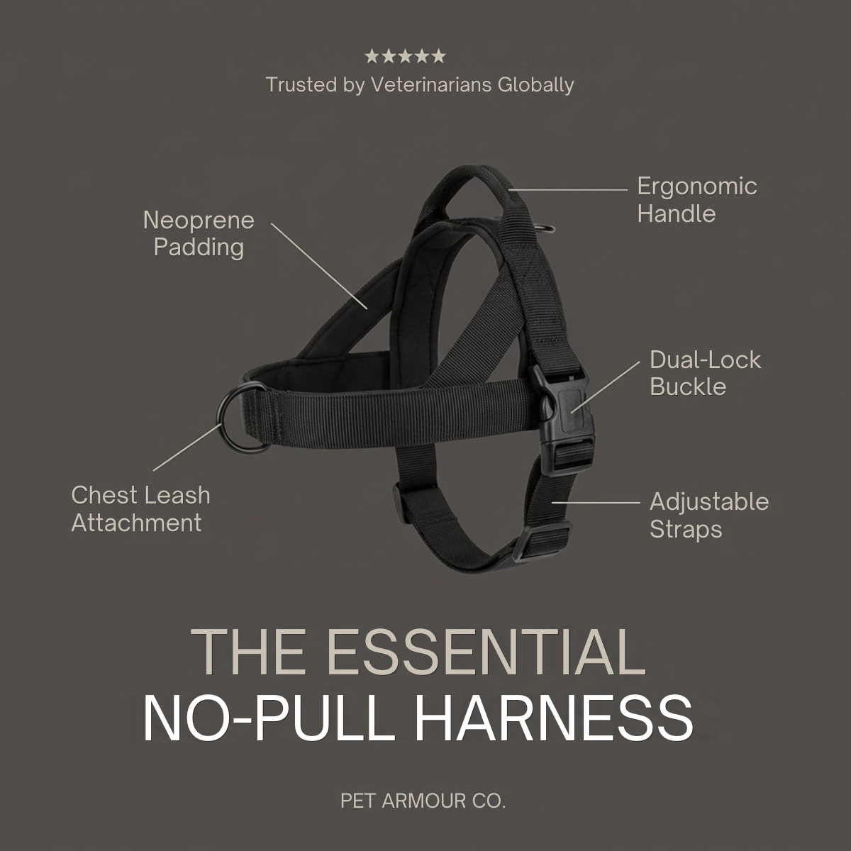 Black no-pull dog harness on a dark grey background with labelled callouts for padding, handle, buckle, straps and leash ring