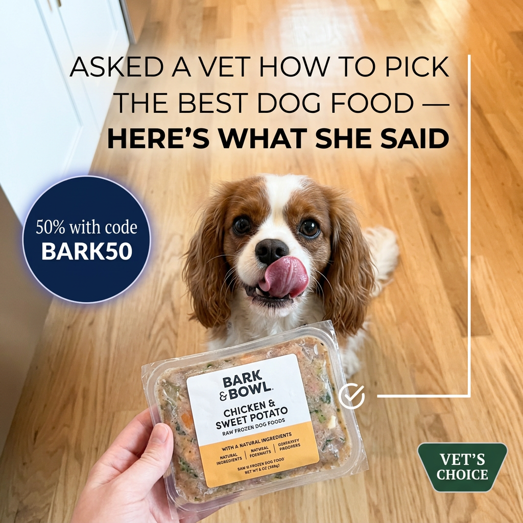 Cavalier King Charles spaniel licking its lips as a hand holds a tray of Bark & Bowl raw chicken and sweet potato dog food