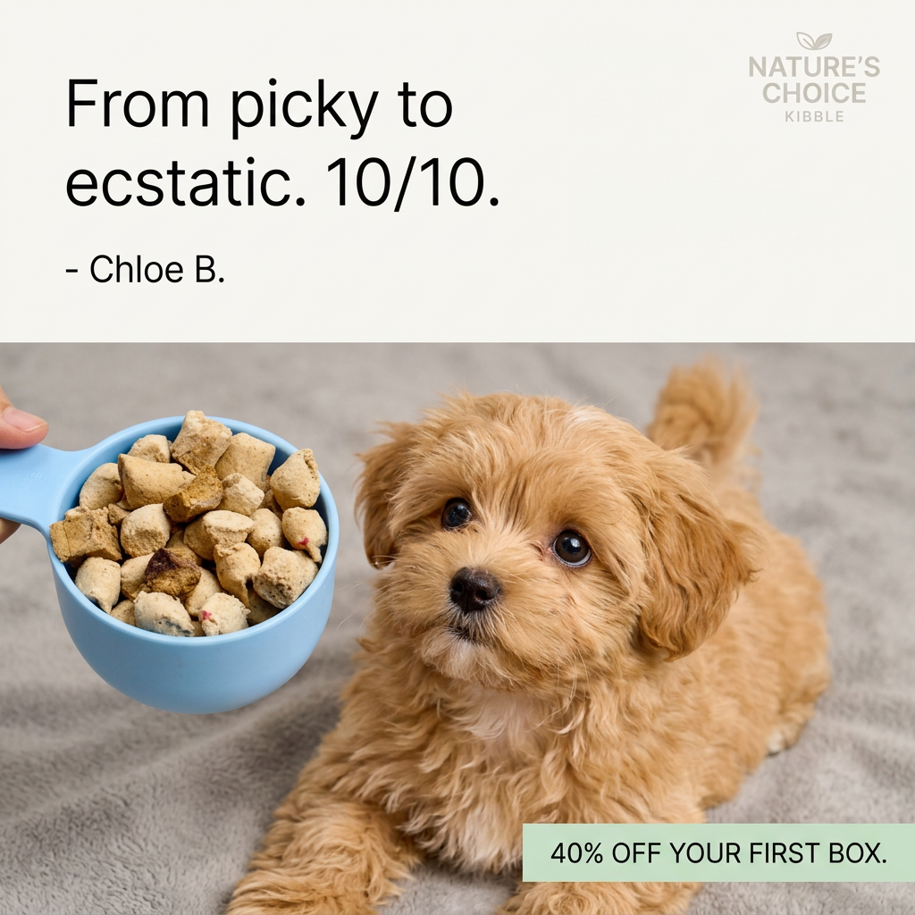 Fluffy apricot puppy on a grey blanket looking at a blue scoop of kibble, under a short review and a 40% off label