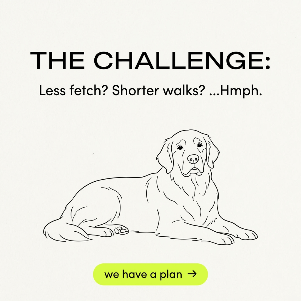 Line drawing of a tired golden retriever under 'The challenge: less fetch? Shorter walks? Hmph.' and a neon button