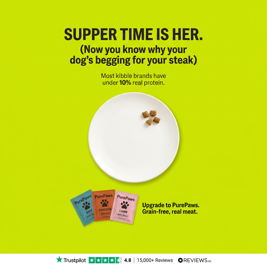 Four kibble pieces on a large empty white plate on a lime background, with three PurePaws pouches and review ratings below