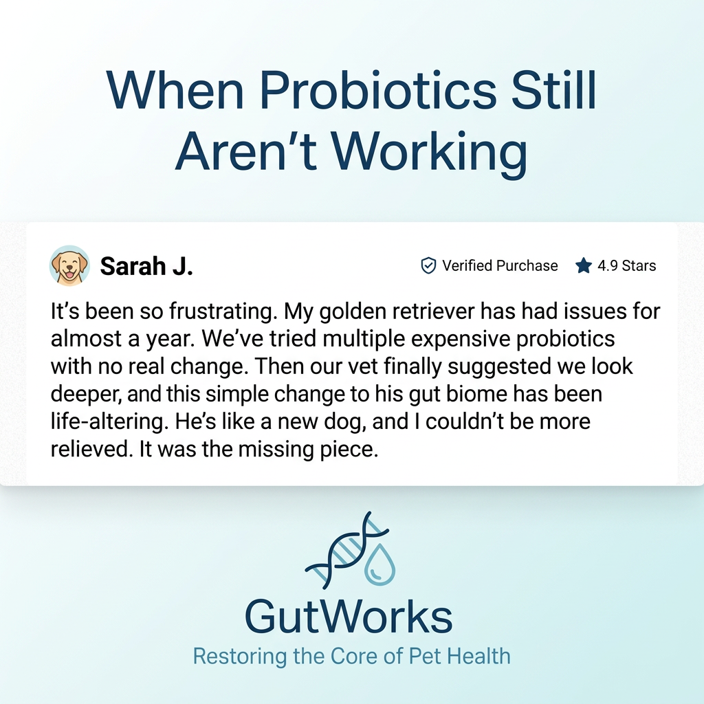 Review card from Sarah J. about her golden retriever's gut issues under a headline about probiotics, with the GutWorks logo