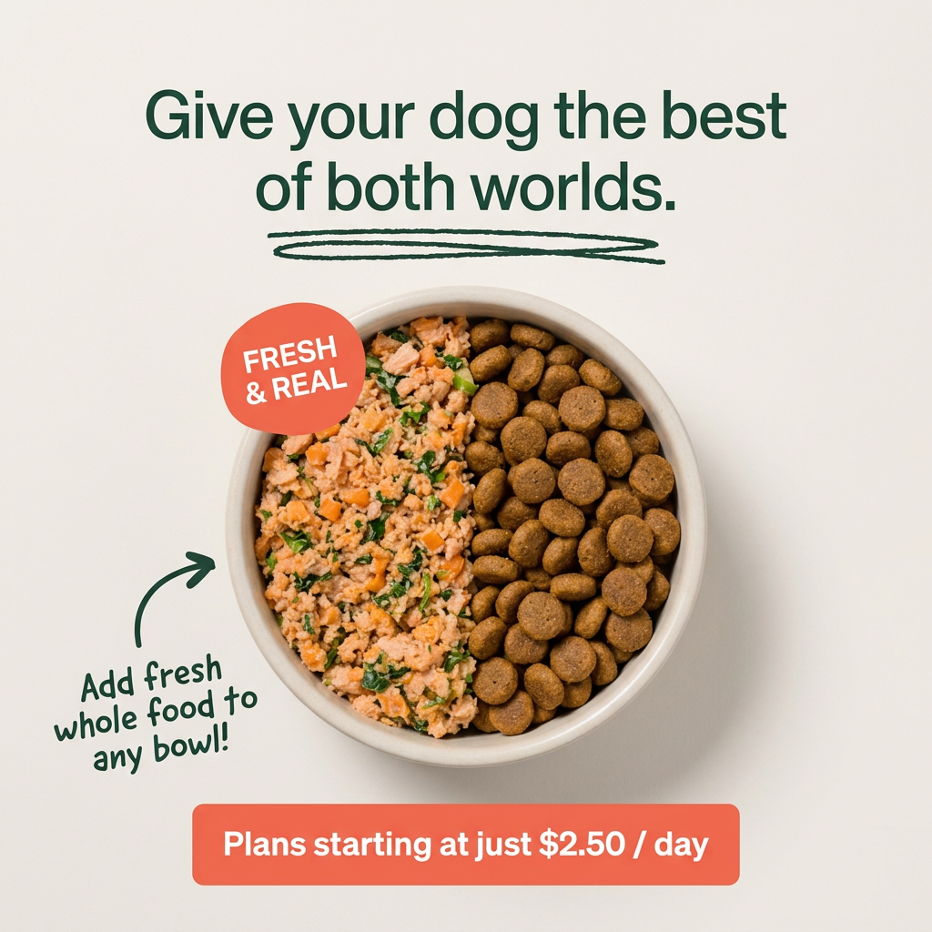 Top-down bowl split half fresh food and half kibble, with a 'Fresh & Real' badge and a plans from $2.50 a day button