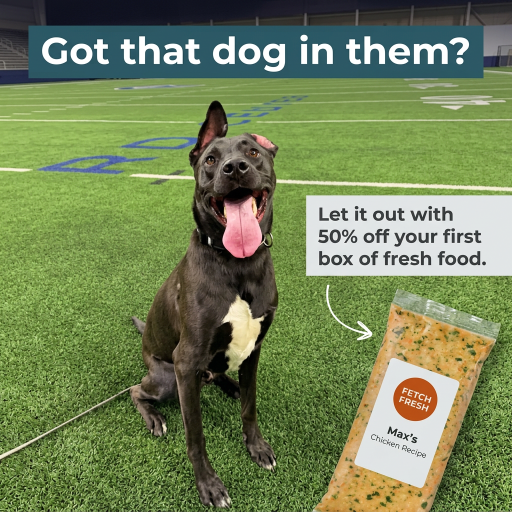 Happy black dog sitting on a turf football field next to a Fetch Fresh chicken recipe pack with a 50% off first box offer