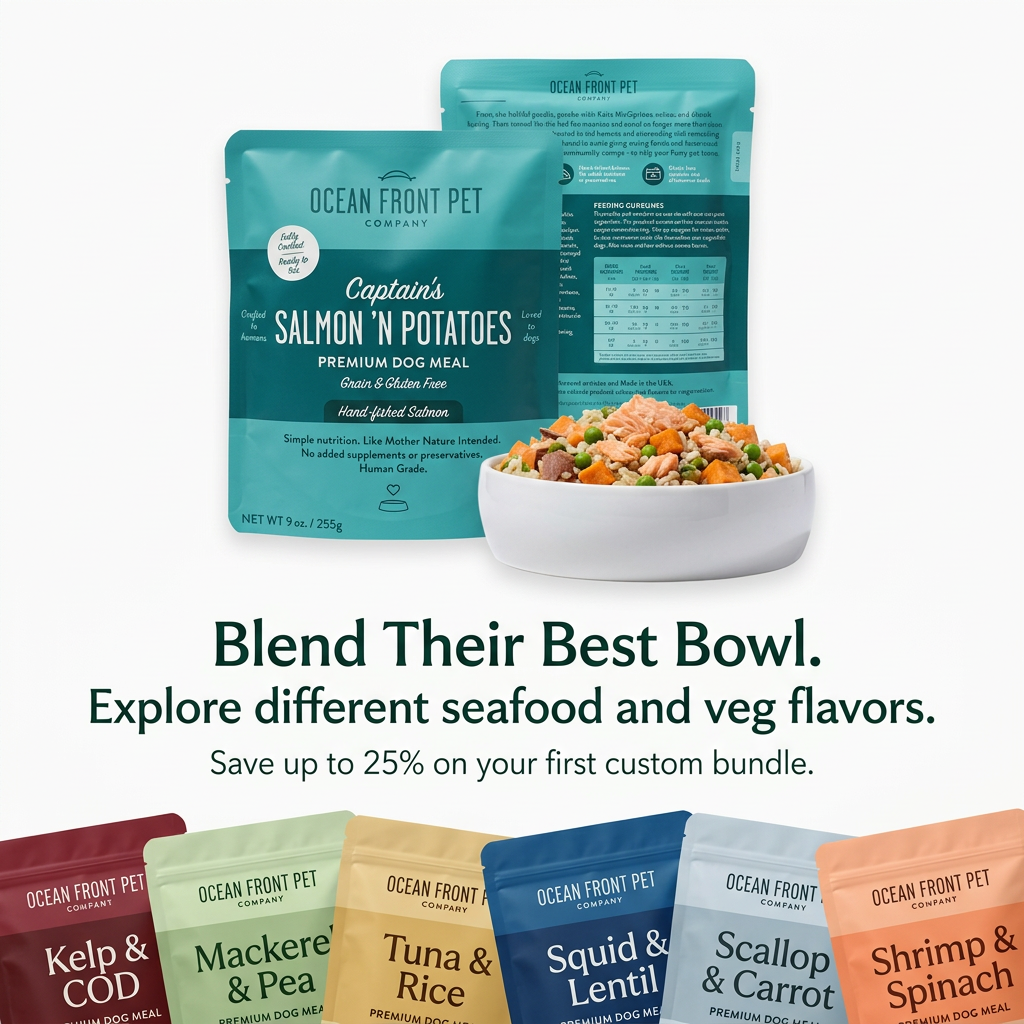Teal Salmon 'n Potatoes dog food pouch beside a bowl of salmon and veg, above six colourful seafood flavour pouches