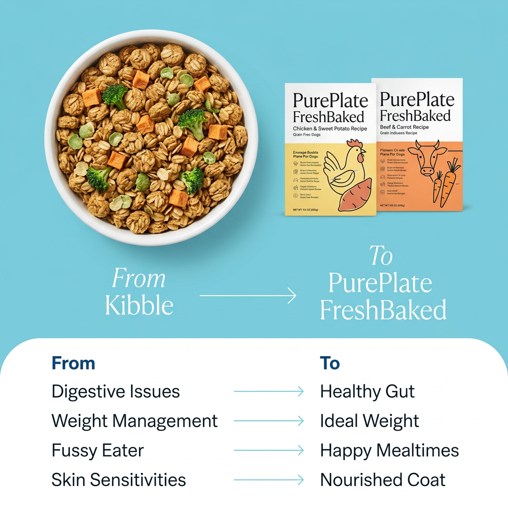 Bowl of baked dog food clusters with broccoli beside two PurePlate boxes on blue, above a white panel of from-to arrows
