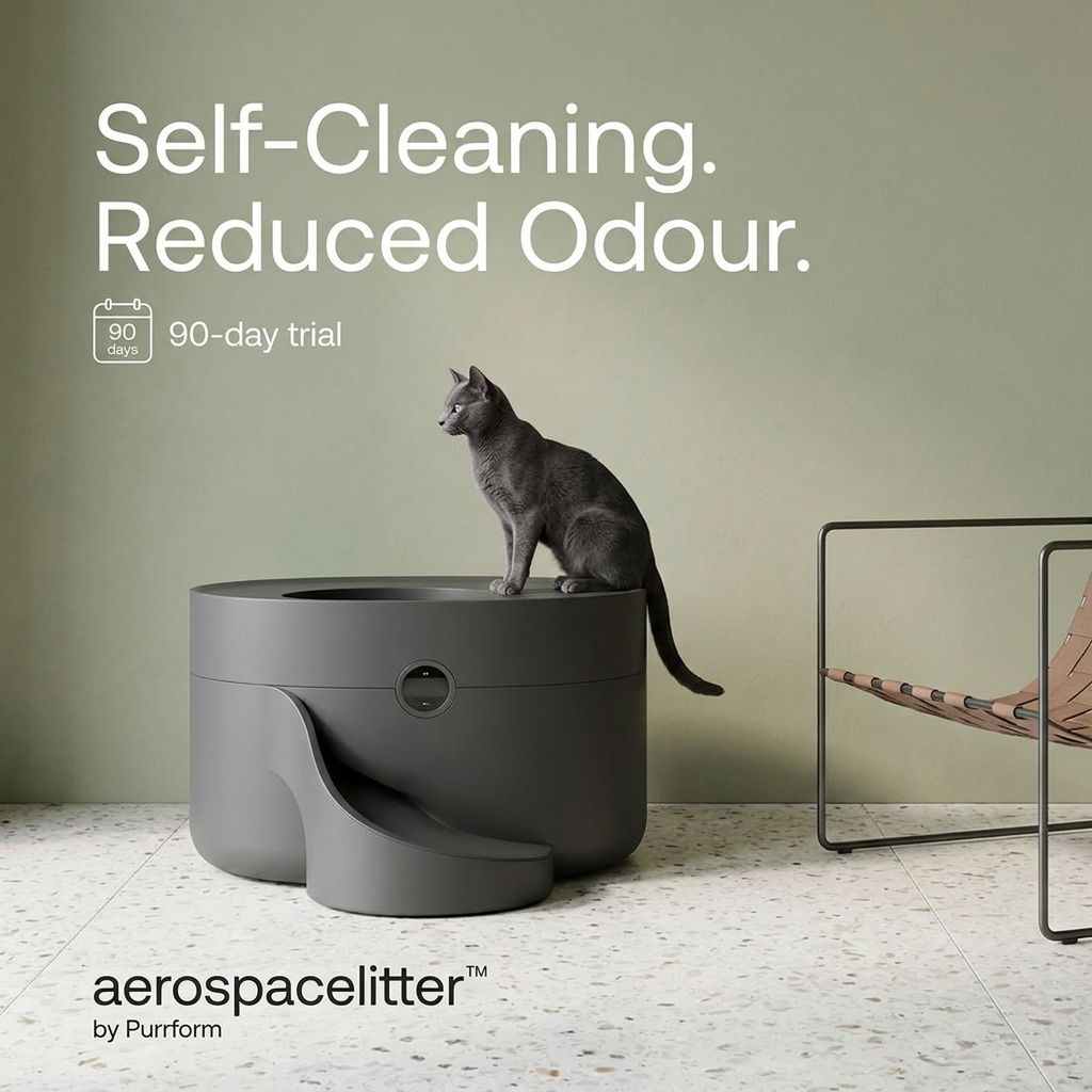 Grey cat sitting on a charcoal round self-cleaning litter box with a ramp in a sage room with terrazzo floor and chair