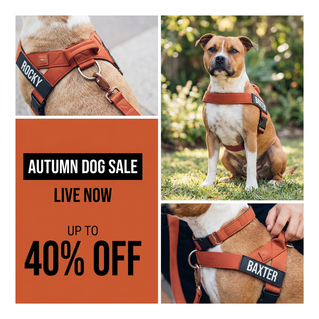 Collage of a dog in rust harnesses with Rocky and Baxter name patches beside an orange Autumn Dog Sale 40% off panel