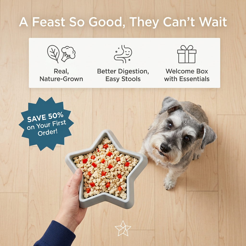 Miniature schnauzer looking up at a star-shaped bowl of fresh dog food, with benefit icons and a blue Save 50% starburst
