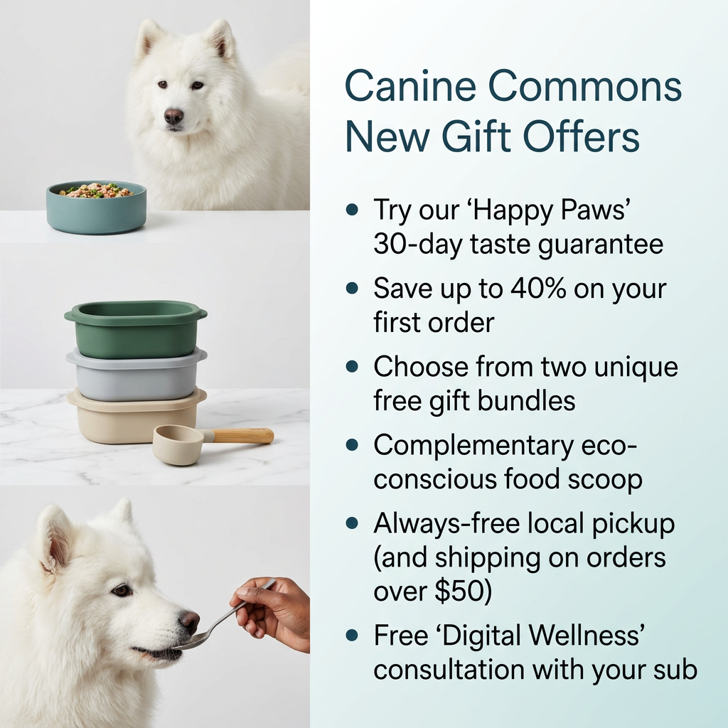 Samoyed beside a bowl and stacked food containers, next to a bulleted list of six dog food subscription offers