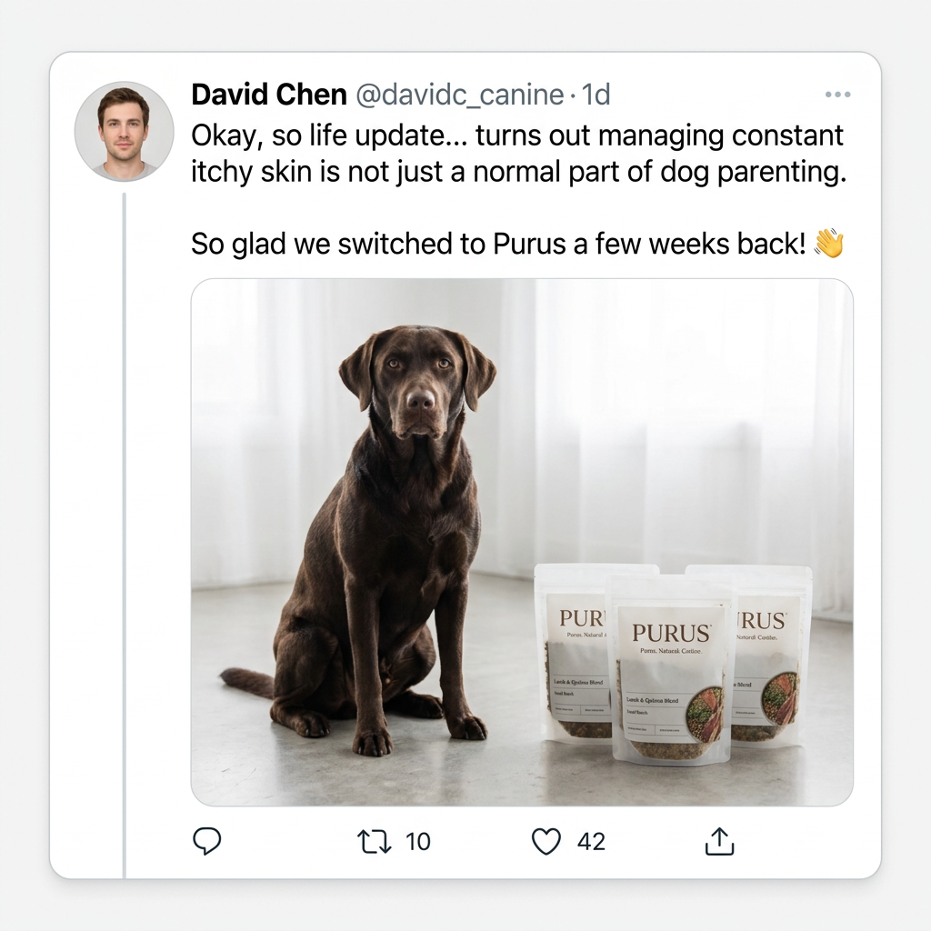Mock social post about itchy skin above a photo of a chocolate Labrador sitting beside three pouches of Purus dog food