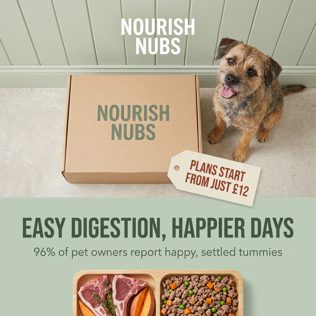 Border terrier beside a Nourish Nubs kraft delivery box with a from £12 price tag, above a tray of raw and cooked food