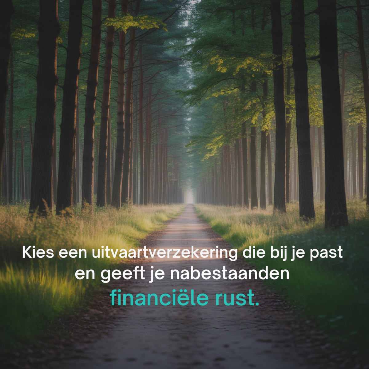 Straight dirt path through a tall pine forest at dawn with white and teal Dutch text about funeral insurance