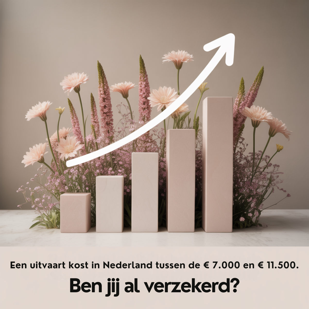 Five pink stone blocks rising like a bar chart among pink flowers with a white upward arrow and Dutch funeral cost text