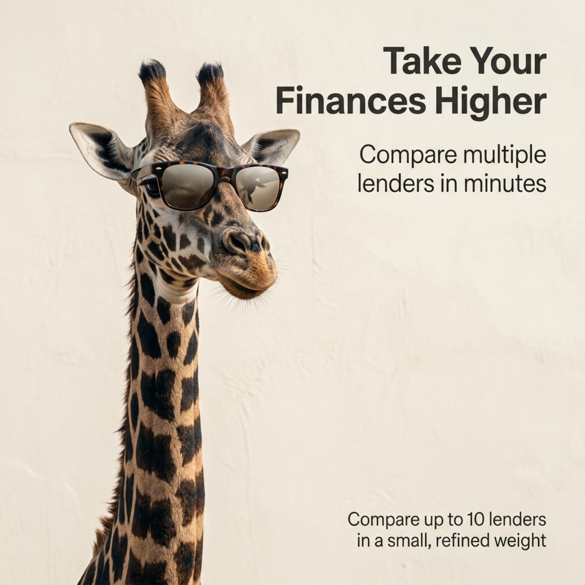 Giraffe wearing tortoiseshell sunglasses against a cream wall with the headline Take Your Finances Higher