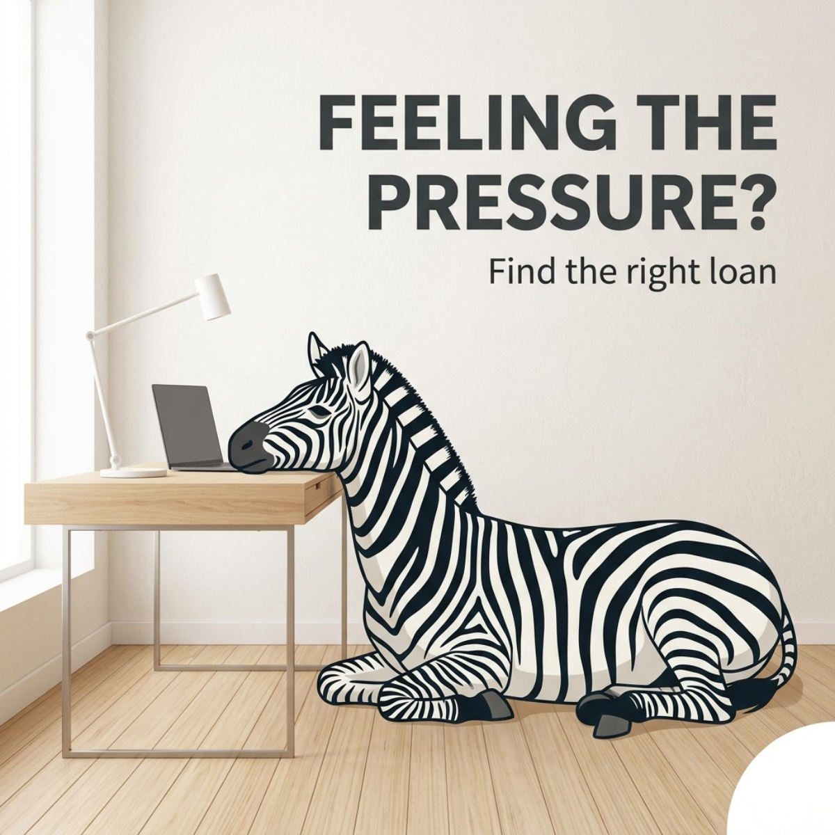 Illustrated zebra resting its head on a desk beside a laptop with the headline Feeling the pressure? Find the right loan
