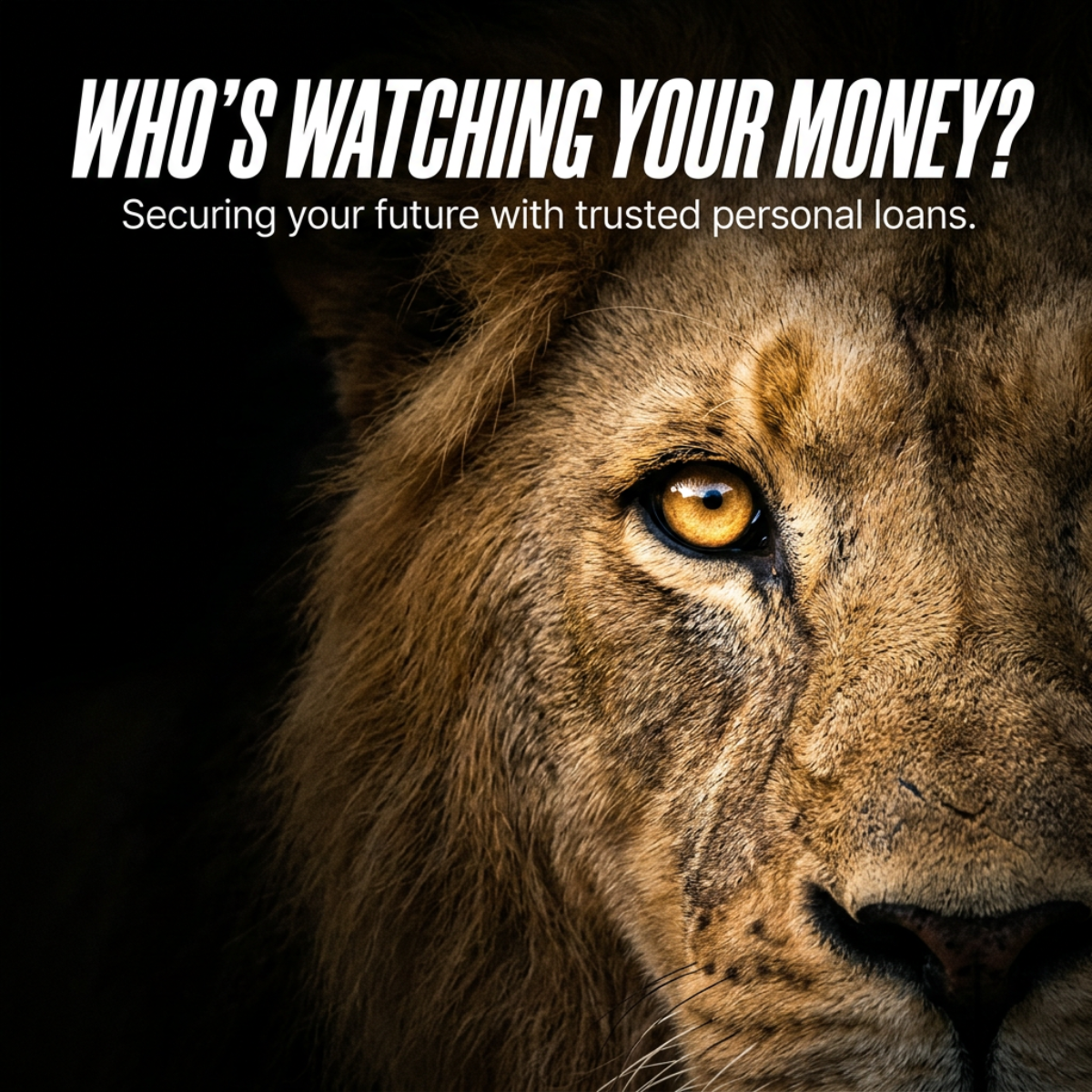 Close-up of half a lion's face with a glowing amber eye on black, under the headline Who's watching your money?