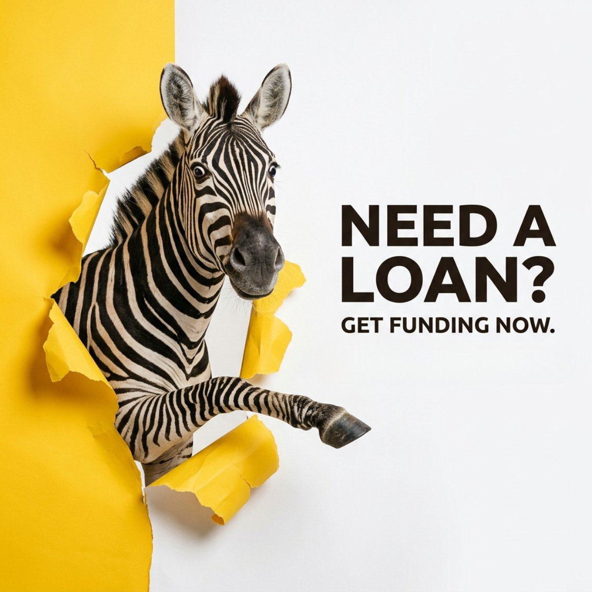Zebra bursting through torn yellow paper on a white background, hoof reaching towards the text Need a loan? Get funding now.