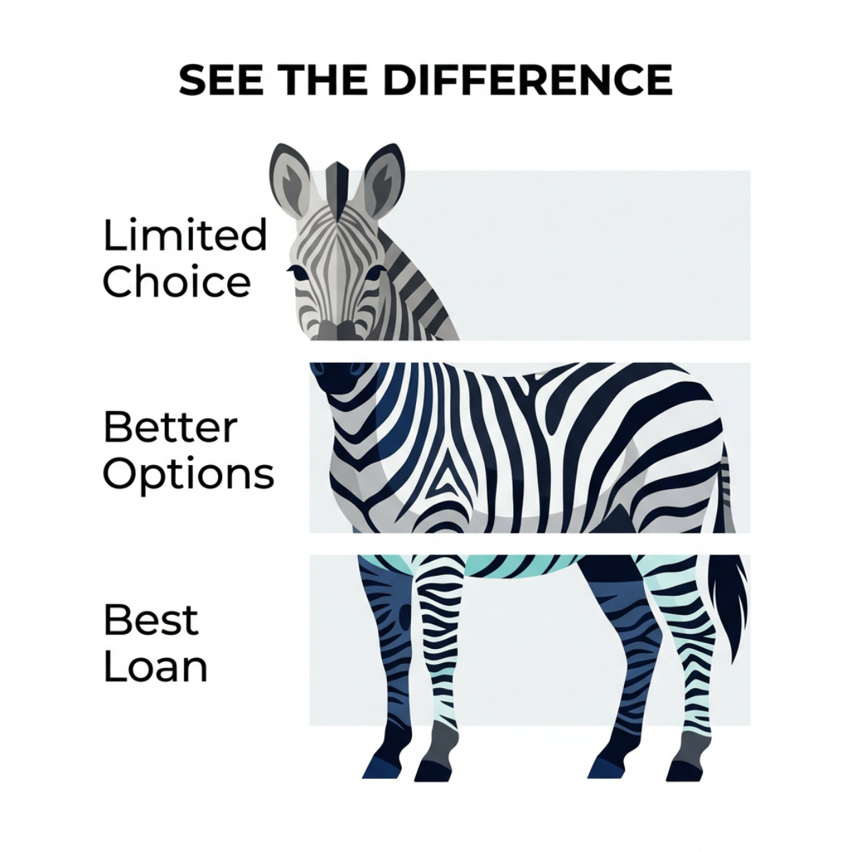 Zebra illustration in three bands labelled Limited Choice, Better Options and Best Loan, headline See the difference