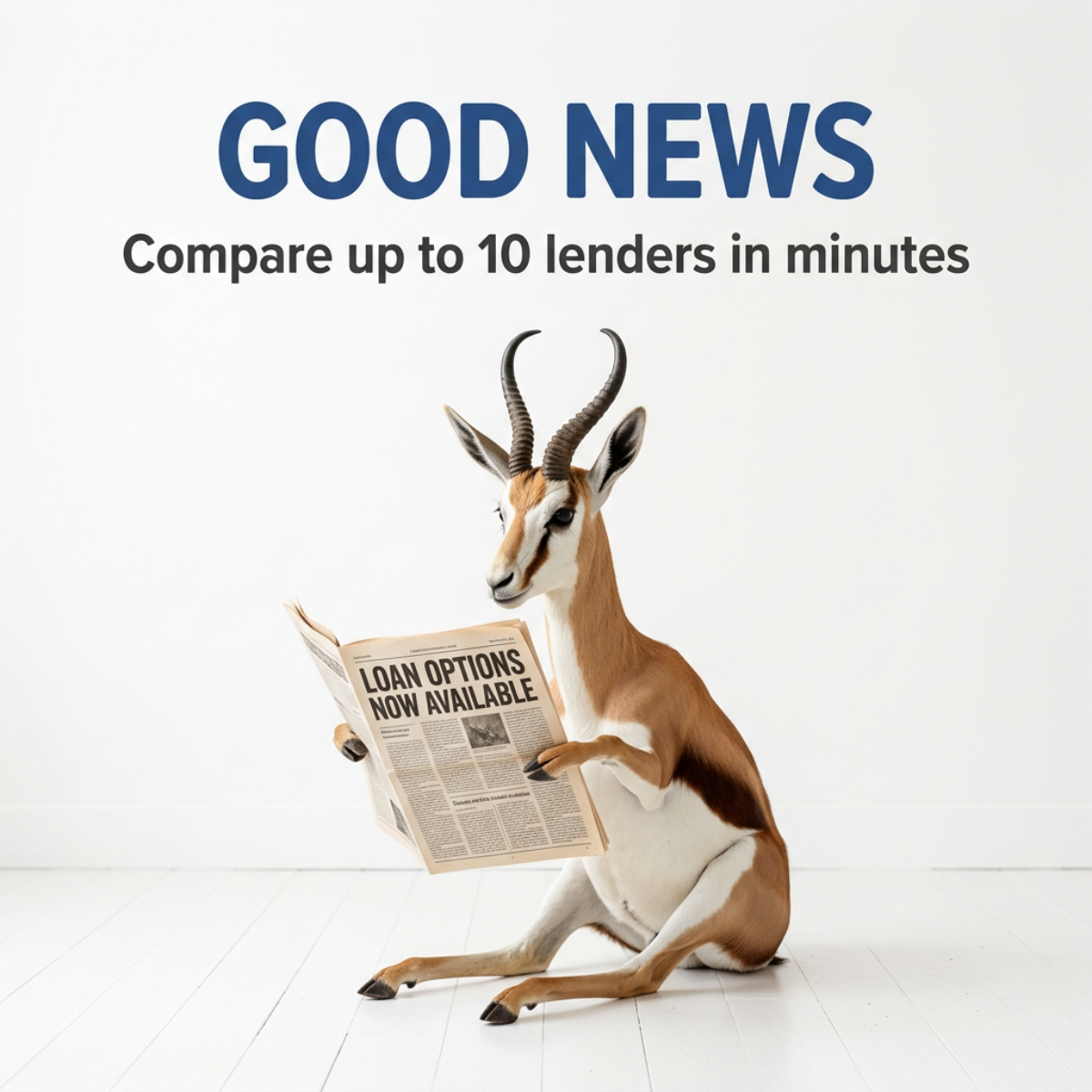 Springbok sitting on a white floor reading a newspaper headlined Loan Options Now Available, under the text Good News