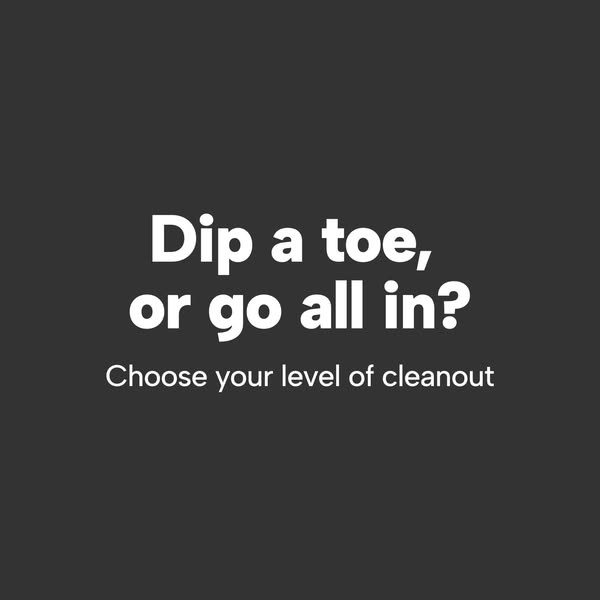 Dark grey square with white text Dip a toe, or go all in? Choose your level of cleanout