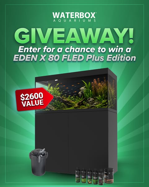 Waterbox giveaway ad with black Eden X 80 planted aquarium, canister filter, plant care bottles and red $2600 value tag