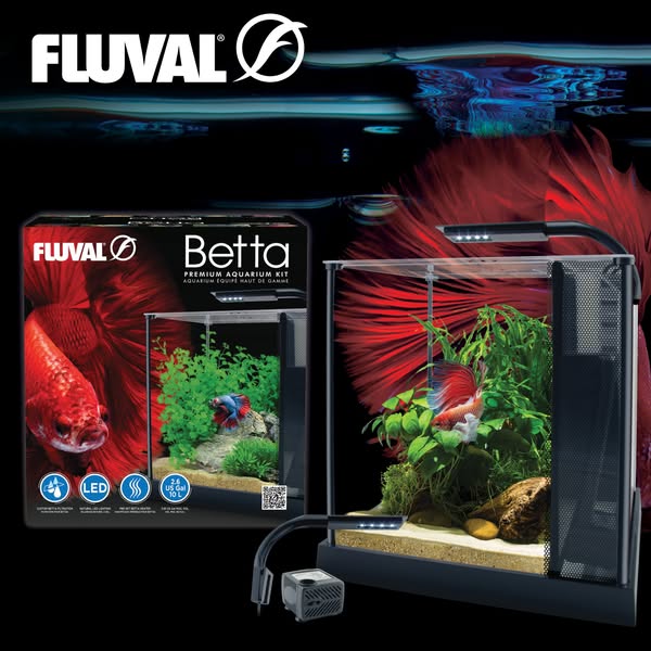 Fluval Betta Premium Aquarium Kit box next to the assembled planted tank, LED light and pump on black with a red betta behind
