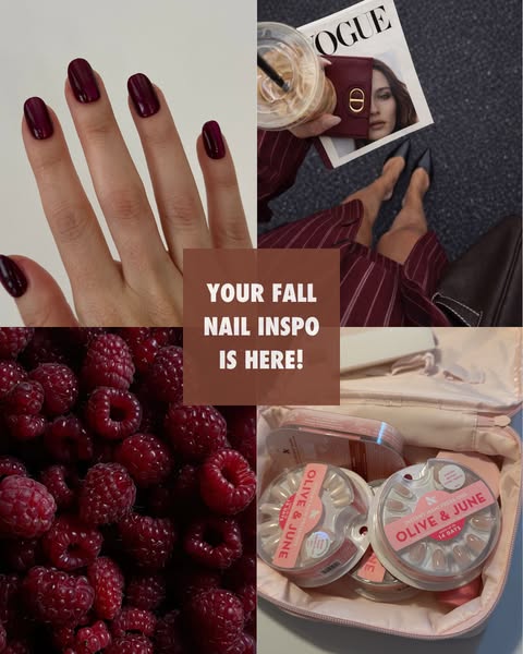 Fall moodboard of burgundy manicure, raspberries, burgundy outfit with magazine and Olive & June press-on nail cases