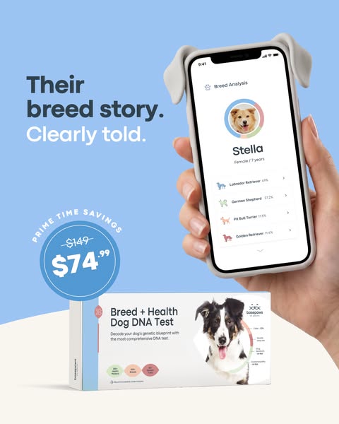 Hand holding a phone with dog-ear case showing a dog breed analysis for Stella, Basepaws Dog DNA Test box and $74.99 badge
