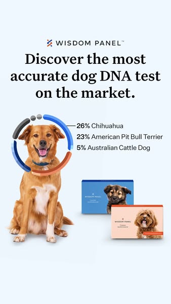 Wisdom Panel dog DNA test ad: shows a sample breed-mix result ring around a smiling mixed-breed dog