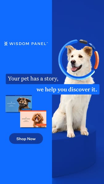 Wisdom Panel dog DNA test ad: places a white dog on a blue pedestal with a story-led headline