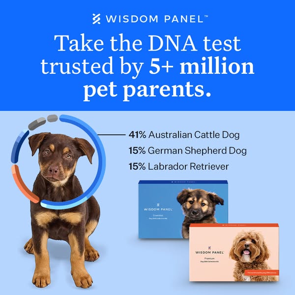 Wisdom Panel dog DNA test ad: combines a 5+ million social-proof headline with a puppy breed result