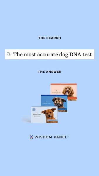 Wisdom Panel dog DNA test ad: uses a search-bar meme with the product as the answer
