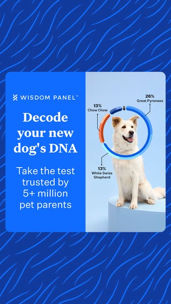 Wisdom Panel dog DNA test ad: combines a decode headline, social proof and breed callouts in a split card