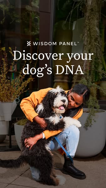 Wisdom Panel dog DNA test ad: shows an owner hugging her fluffy dog on a city street