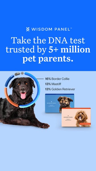 Wisdom Panel dog DNA test ad: pairs 5+ million social proof with a black dog's breed result