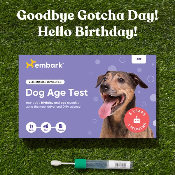 Embark Dog Age Test box with a happy dog and a '5 years 6 months' badge lying on grass beside a cheek swab