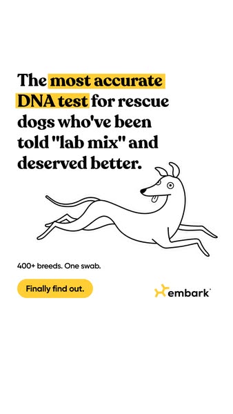 Minimal white ad with a highlighted headline about the most accurate DNA test and a line drawing of a running dog