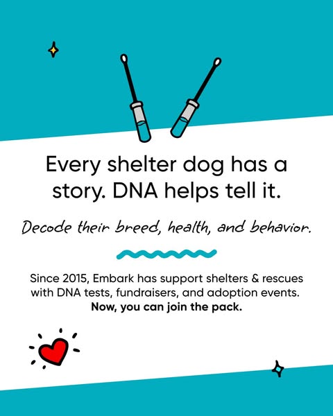 Doodled DNA swabs and a red heart on white and teal with the text 'Every shelter dog has a story. DNA helps tell it.'