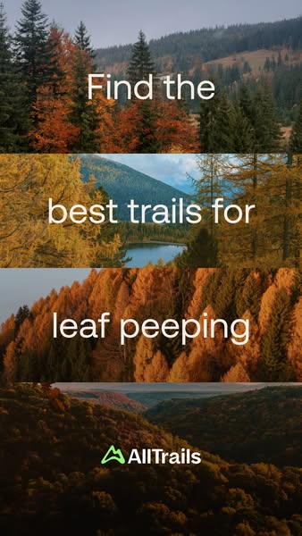 AllTrails vertical ad: four stacked autumn forest photo strips with text 'Find the best trails for leaf peeping'