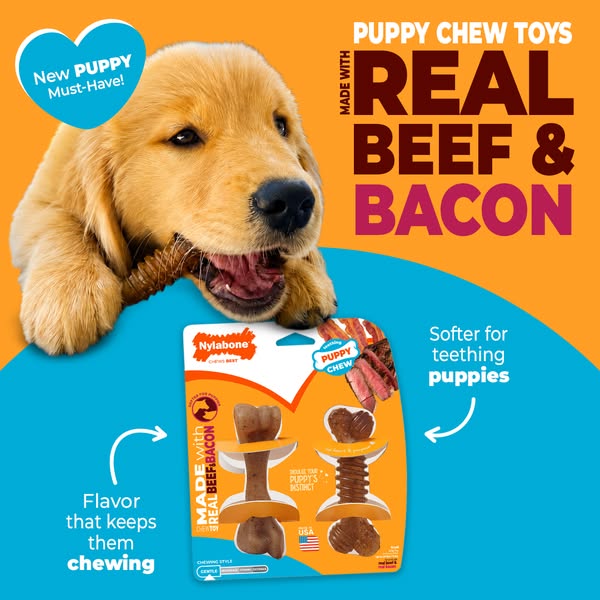 Golden retriever puppy chewing a toy above a Nylabone puppy chew pack, with Real Beef & Bacon headline and arrow callouts