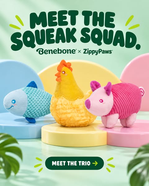 Blue fish, yellow chicken and pink pig plush dog toys on pastel pedestals with Meet the Squeak Squad headline